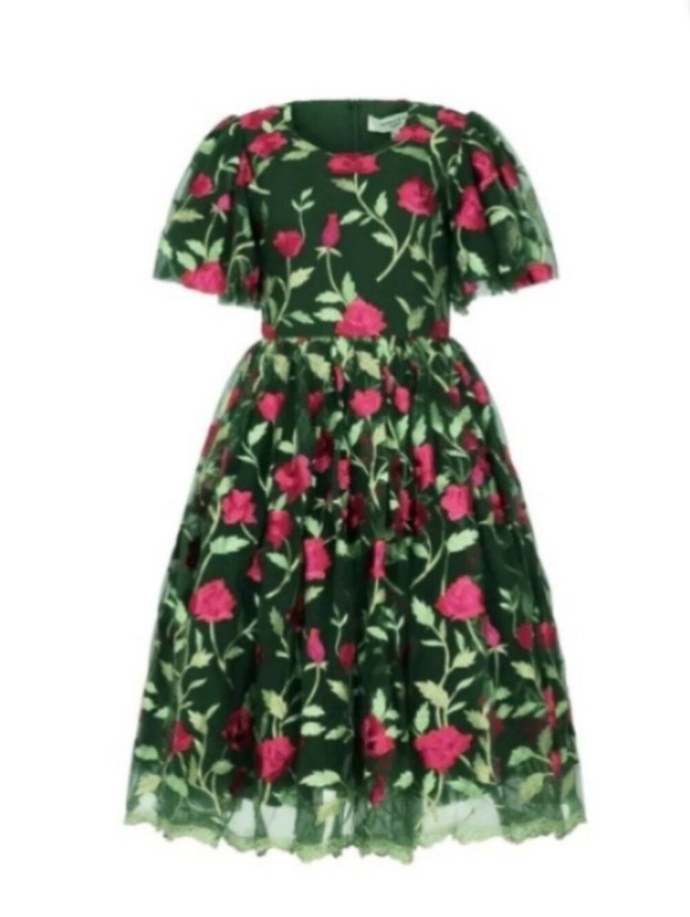Jessakae Green Floral Midi Dress with Embroidered Reddish Pink Roses